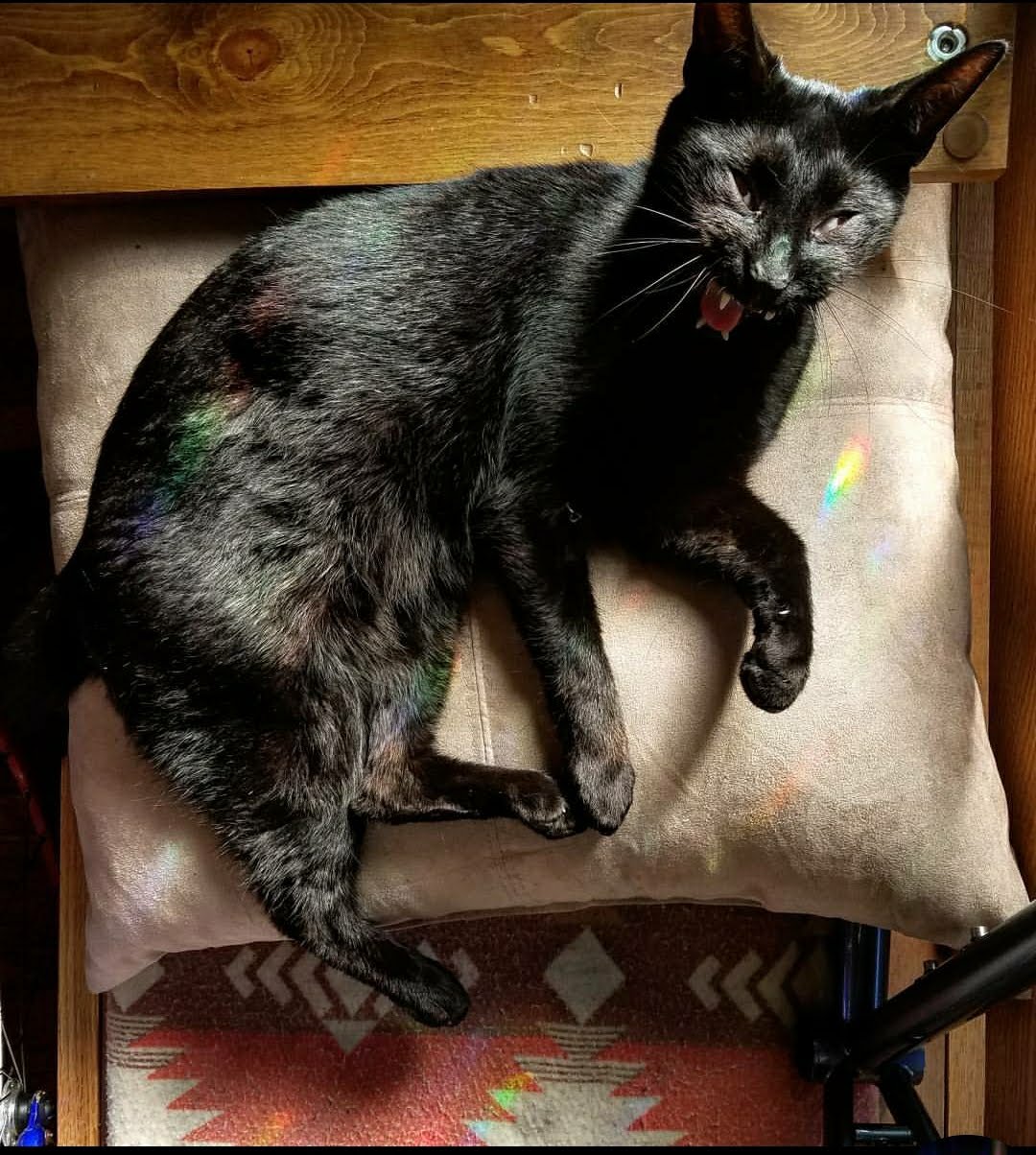 bixby is a stylistic maven